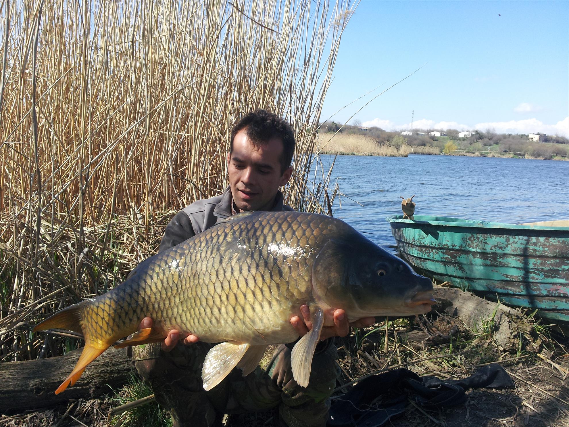 tancabesti  5-6 aprilie 2013 - 20130406151346.jpg